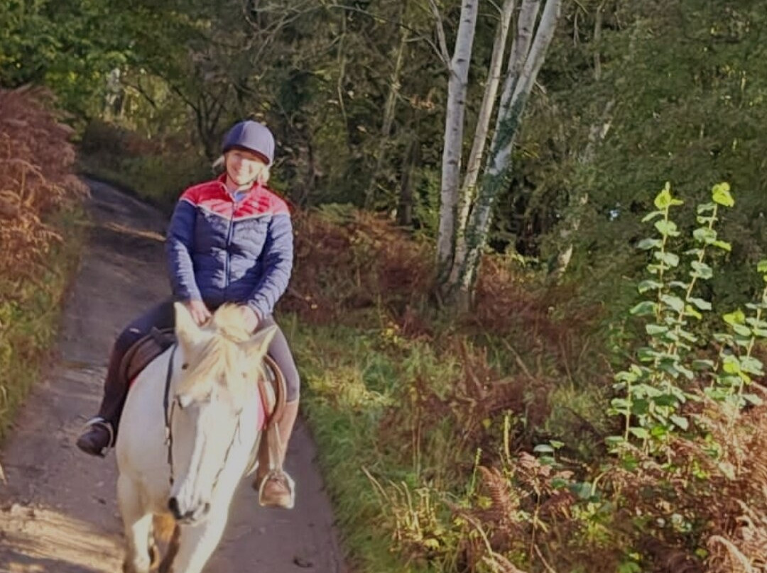 Penycoed Riding Stables-Pant必去景点