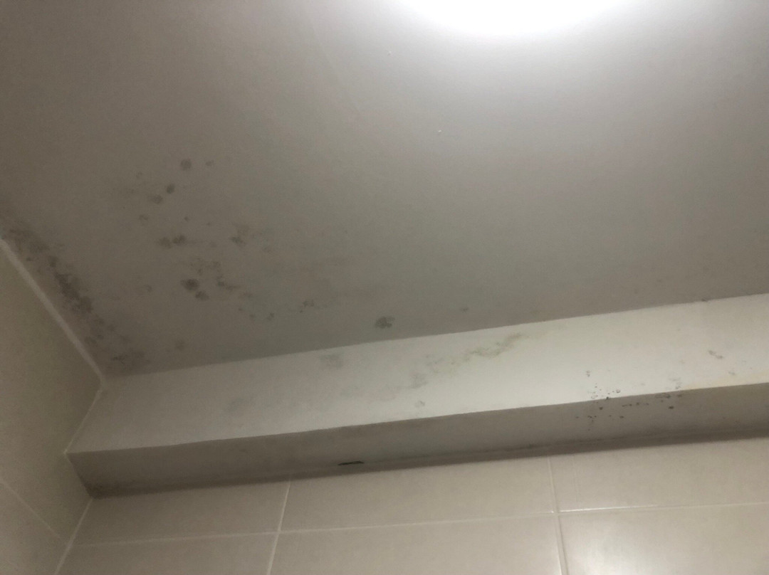 Hôtel du Pont Ascain主图