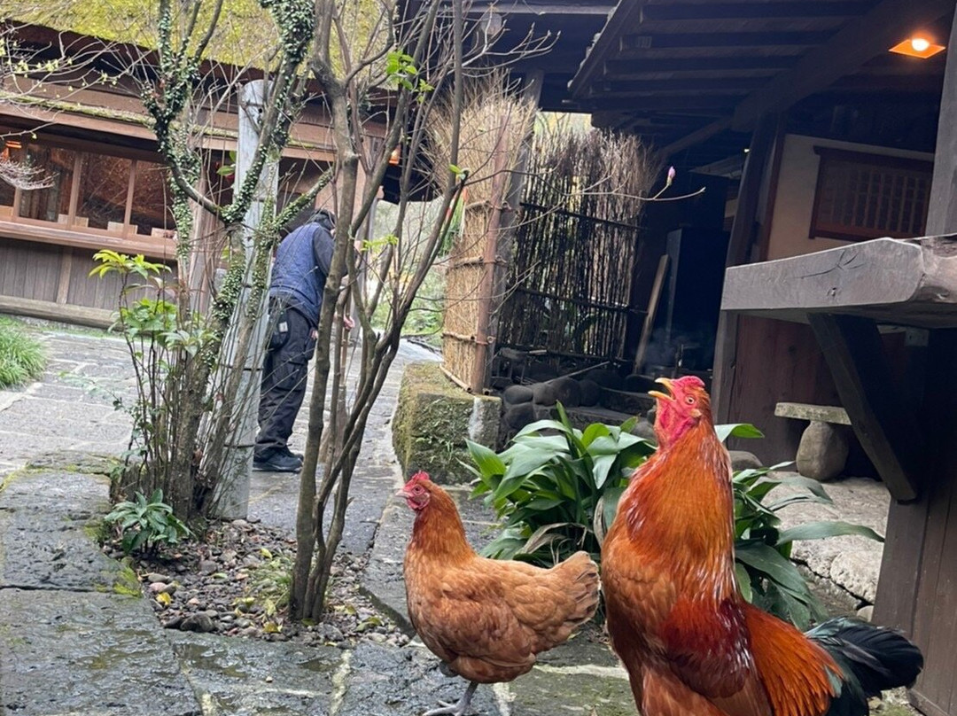 忘怀乡 雅叙苑主图