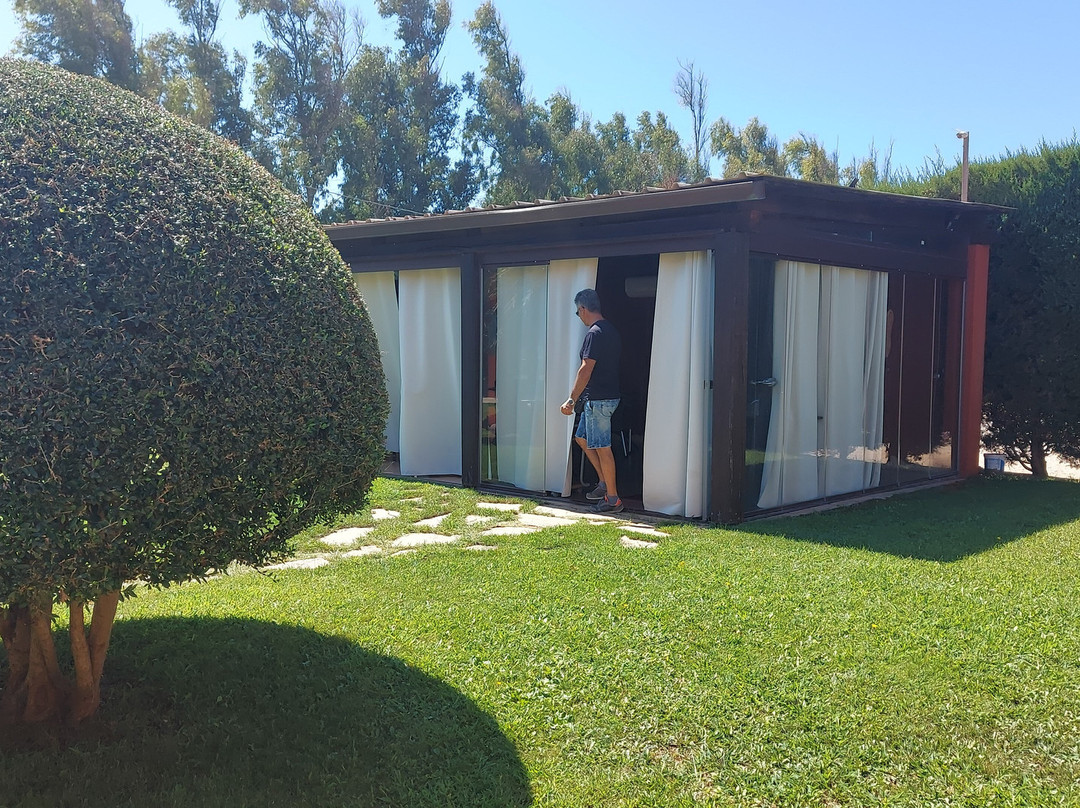 B&B Bonsai Alghero主图