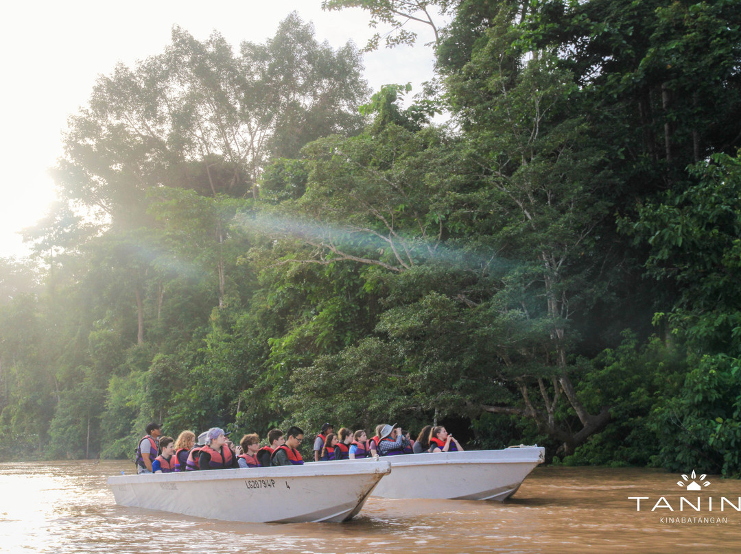 Tanini Kinabatangan (Formerly Nature Lodge Kinabatangan)