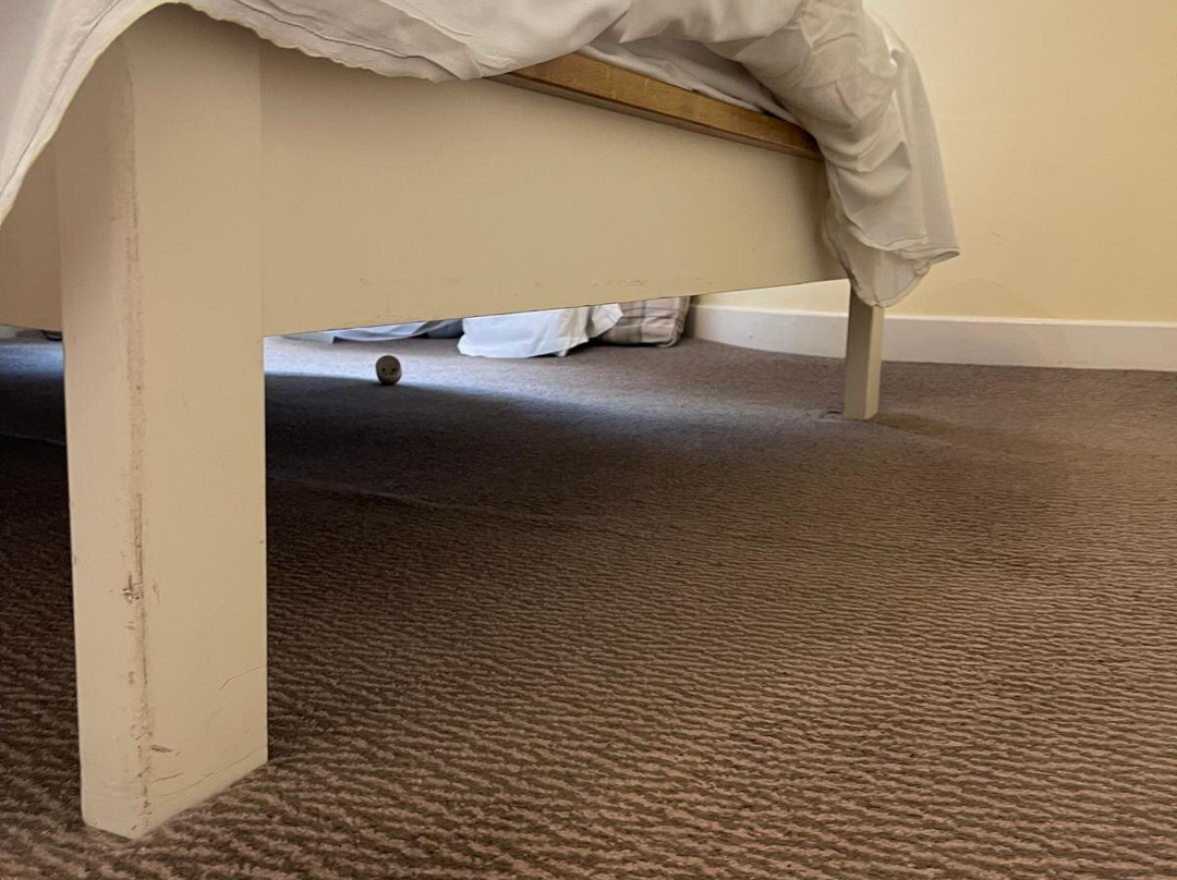 The George Hotel主图