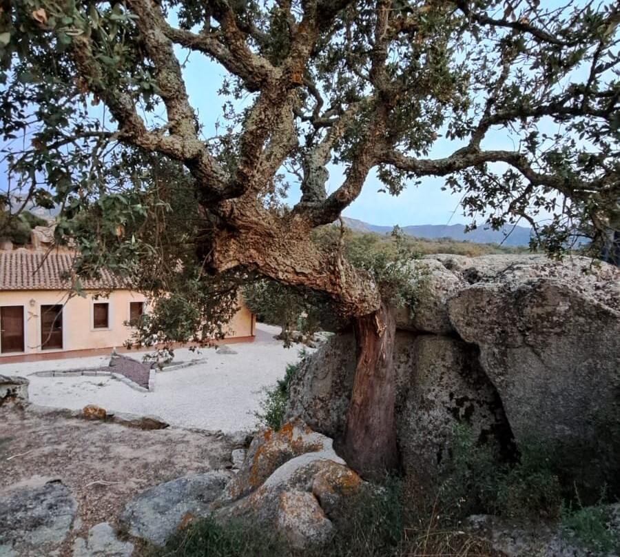 Azienda Agrituristica Chicchiritanos主图
