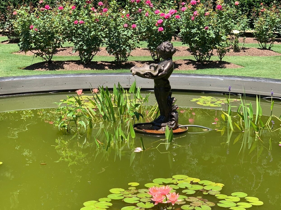Raleigh Little Theatre Rose Garden景点图片