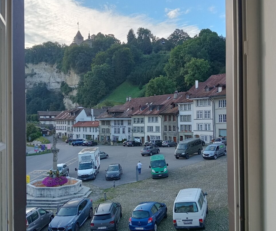 Hotel Le Sauvage主图