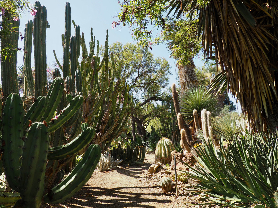 The Ruth Bancroft Garden-核桃溪必去景点