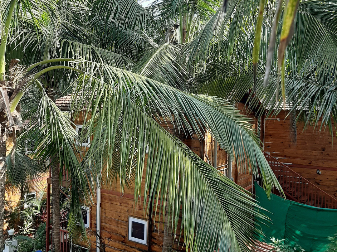 Mariners Bay Resort主图