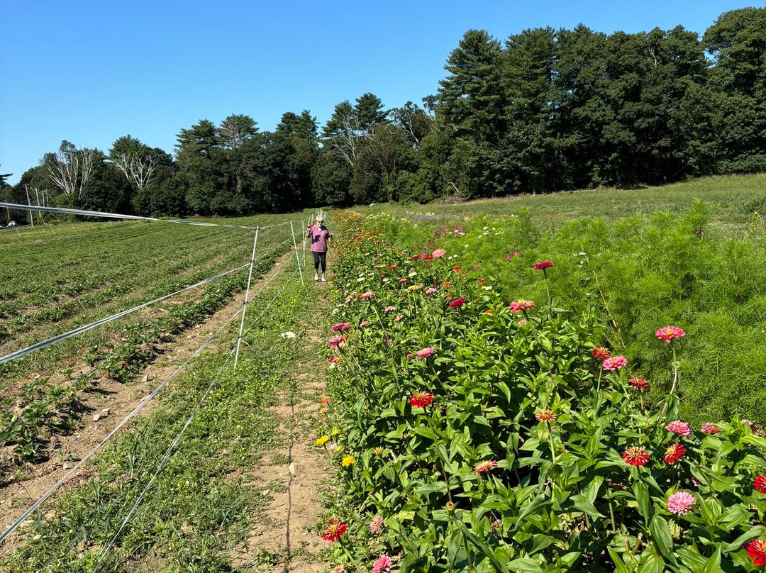 Marini Farm-Ipswich必去景点
