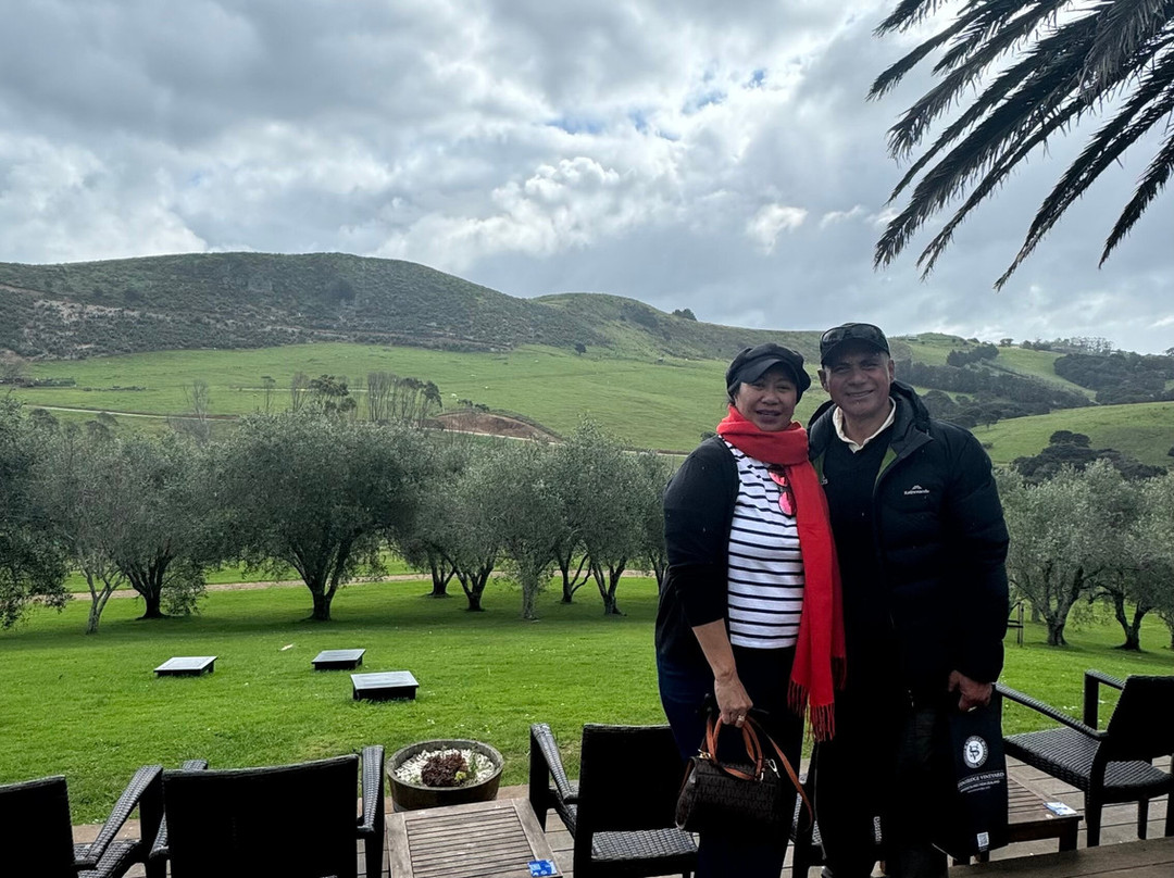 Kiwi Connect - Auckland  Guided Tours-奥克兰中心地区必去景点