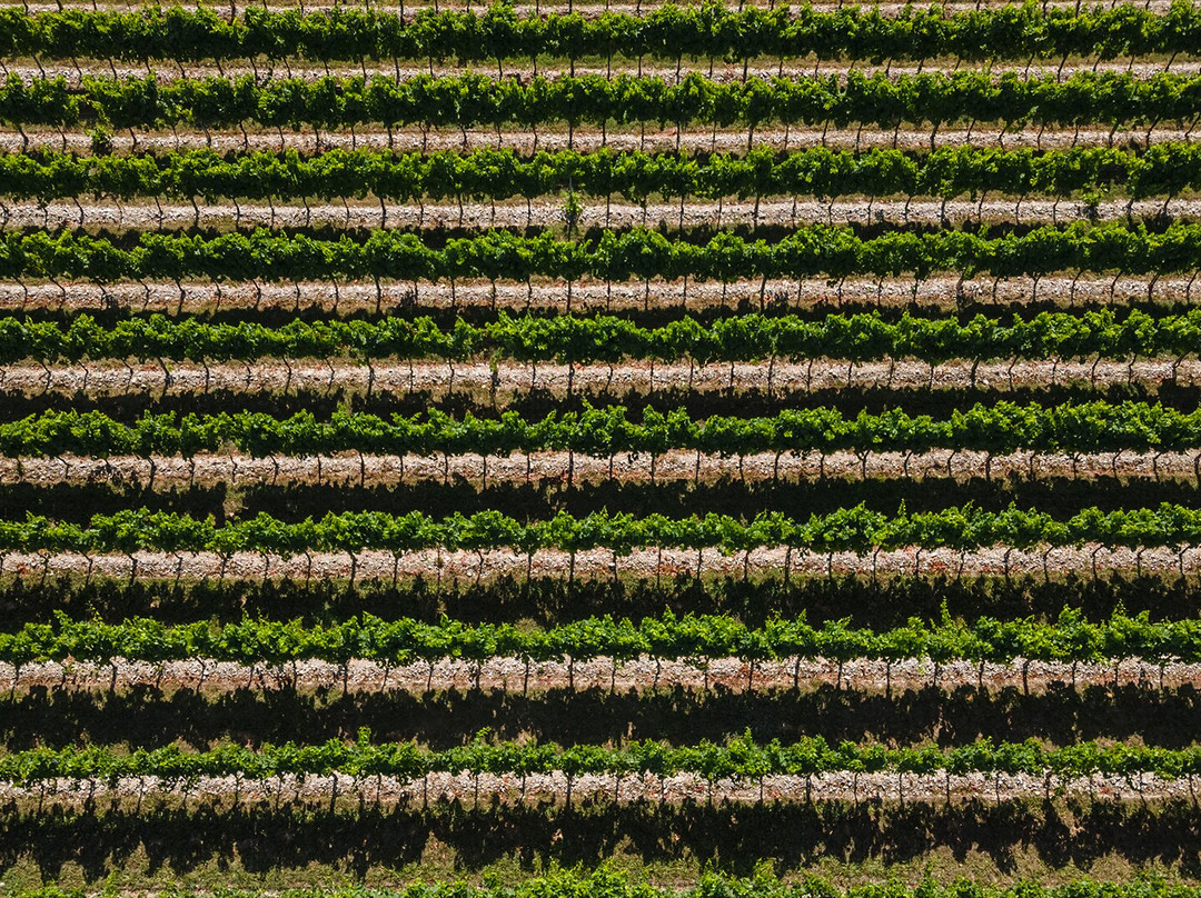Società Agricola Valpanera景点图片
