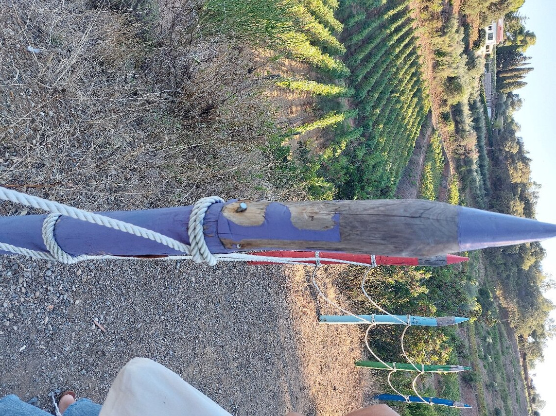 Azienda Agricola Arrighi景点图片