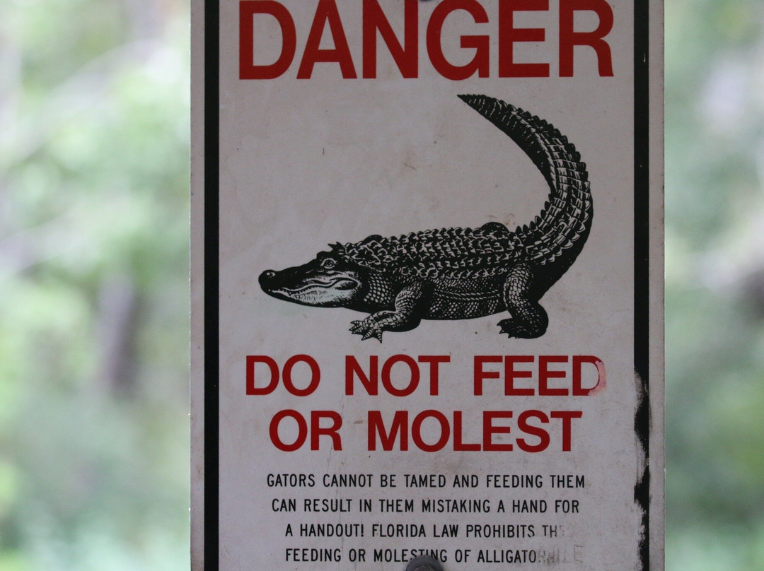 Sawgrass Lake Park-圣彼德斯堡必去景点