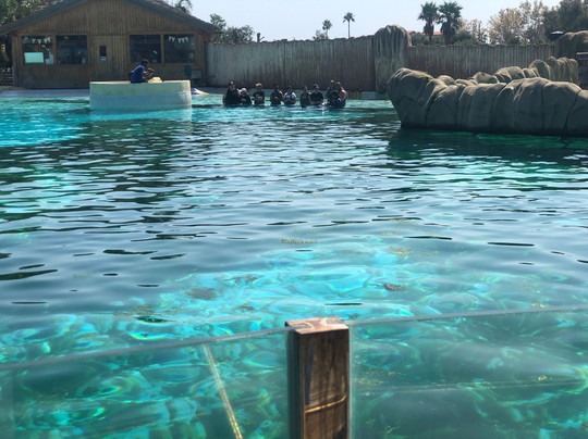 Marineland Lagoon-安提贝必去景点