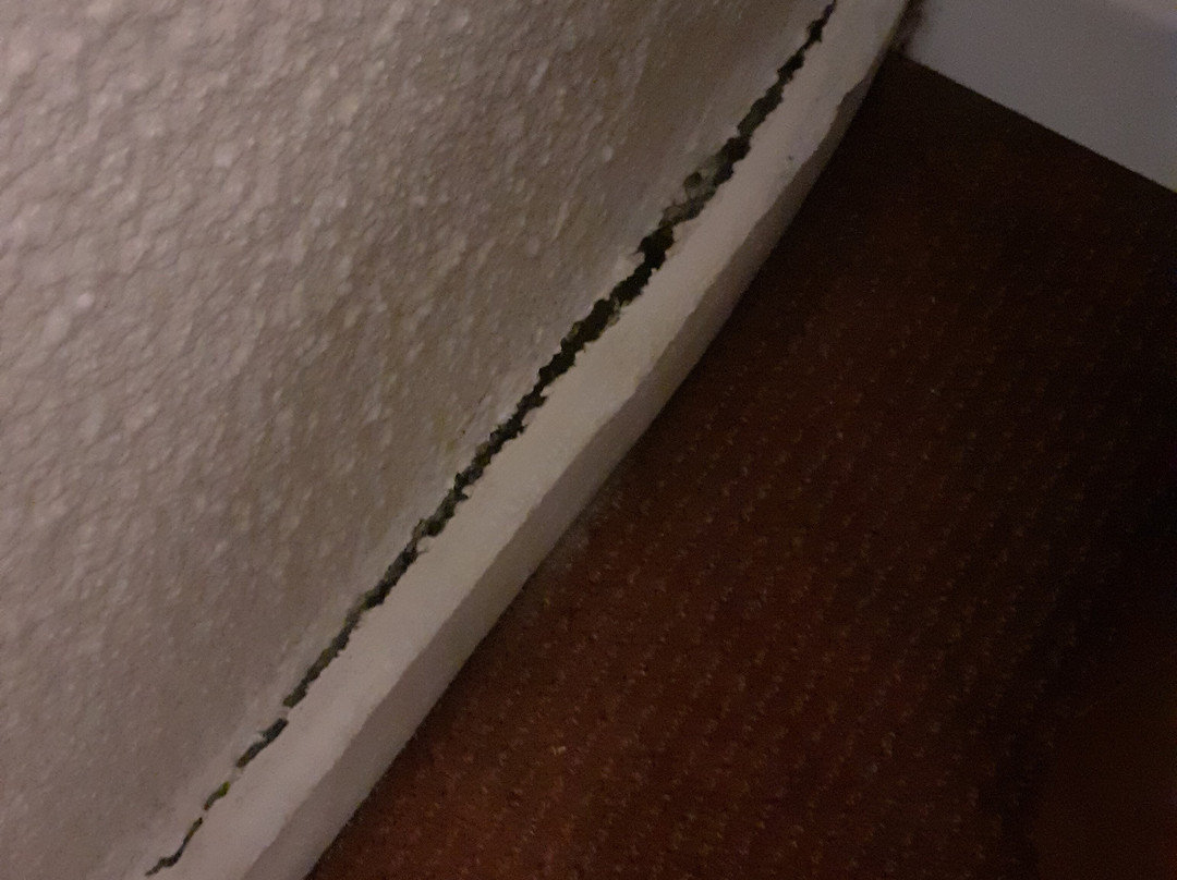 Hotel Campanile Nantes Ouest - Saint Herblain主图