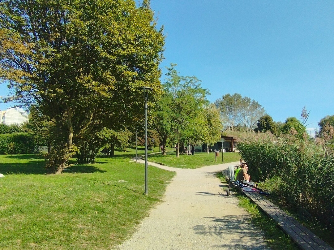 Laghetto di Giussano景点图片