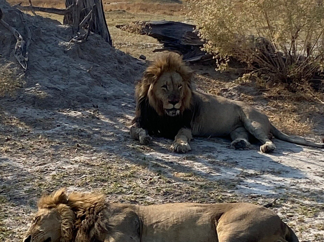 Lower Zambezi National Park-卢萨卡必去景点