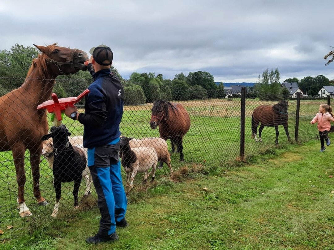 Gorska Lesniczowka主图