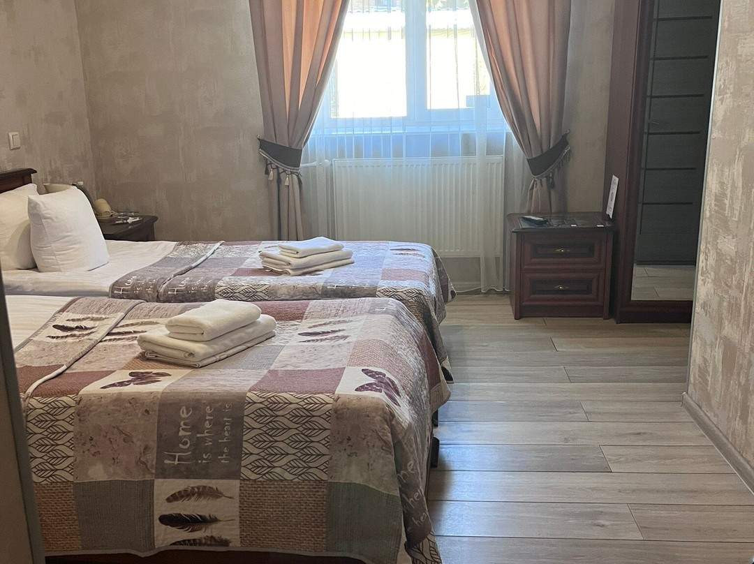 Centralnyi Hotel主图