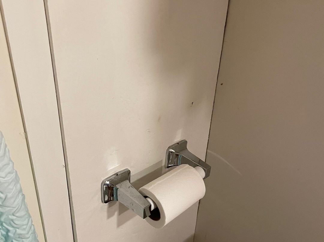 The Copper Swan主图