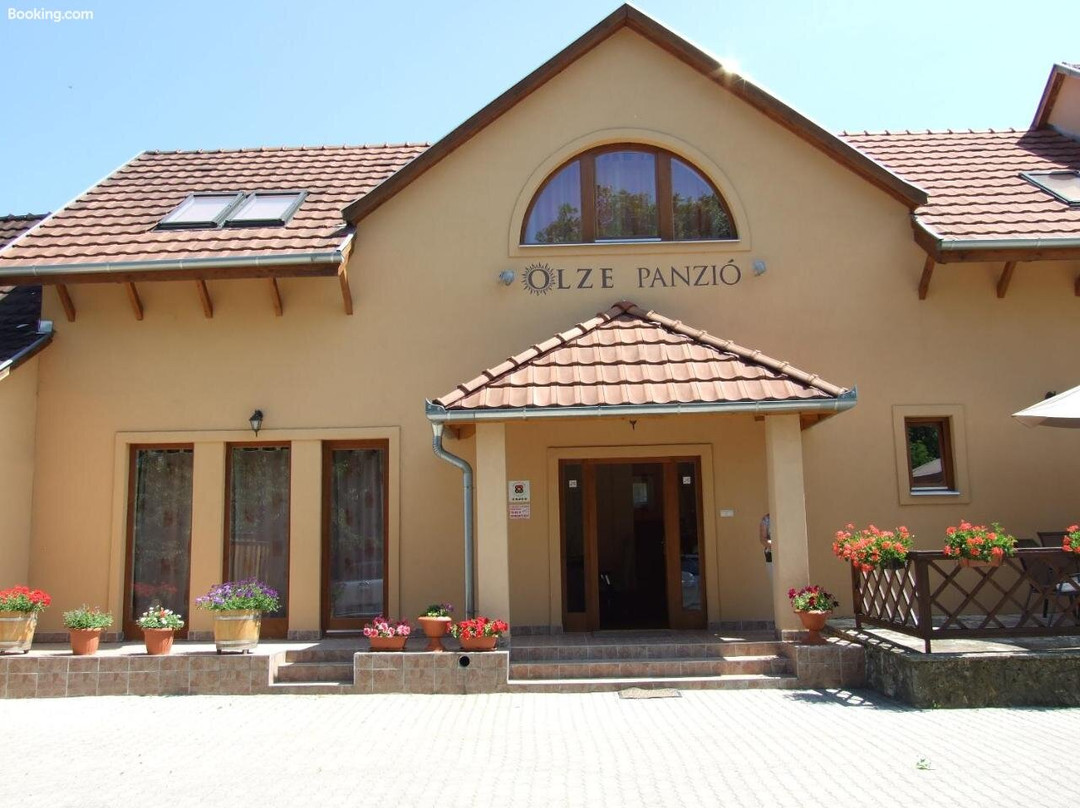Olze Panzio主图