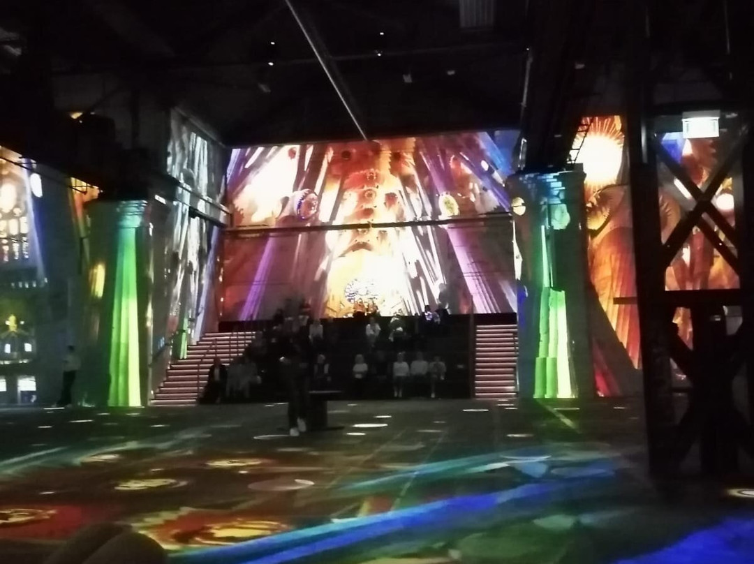 Phoenix des Lumieres景点图片