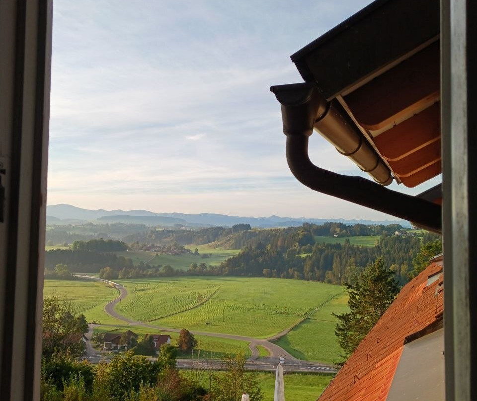 Hotel Gasthof Zur Rose主图