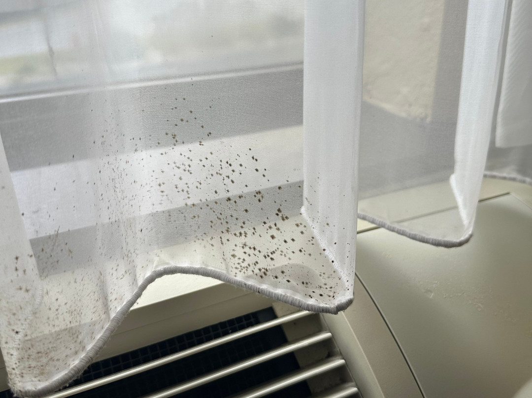 Best Western Harrisburg North主图