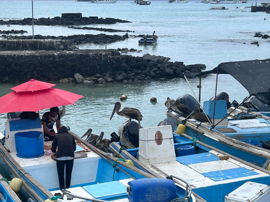 Santa Cruz Fish Market景点图片