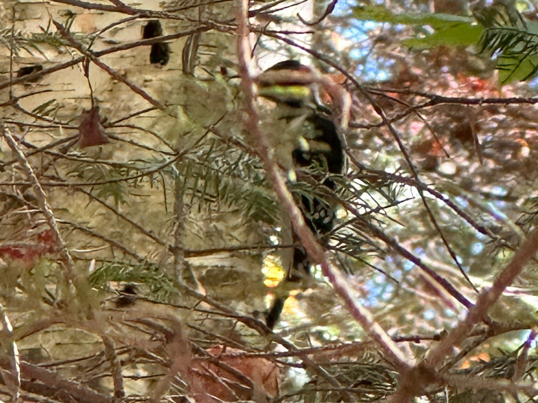 Newport State Park-Ellison Bay必去景点