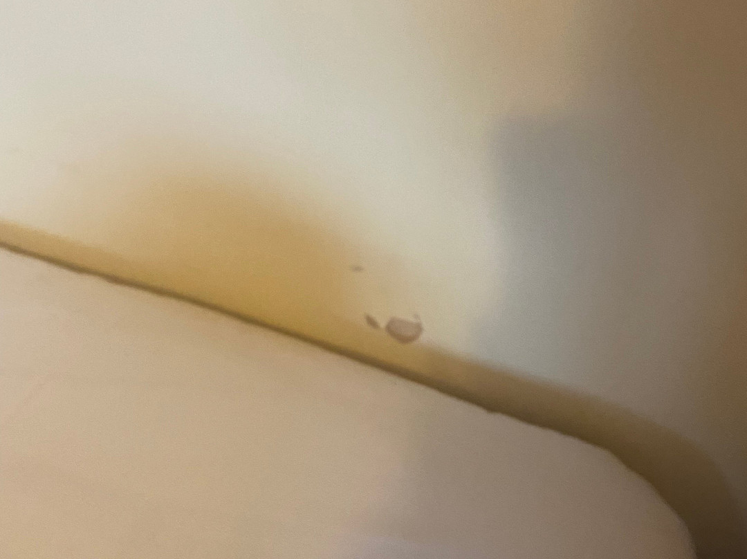 麦克唐纳德提科尔鳟鱼度假酒店主图