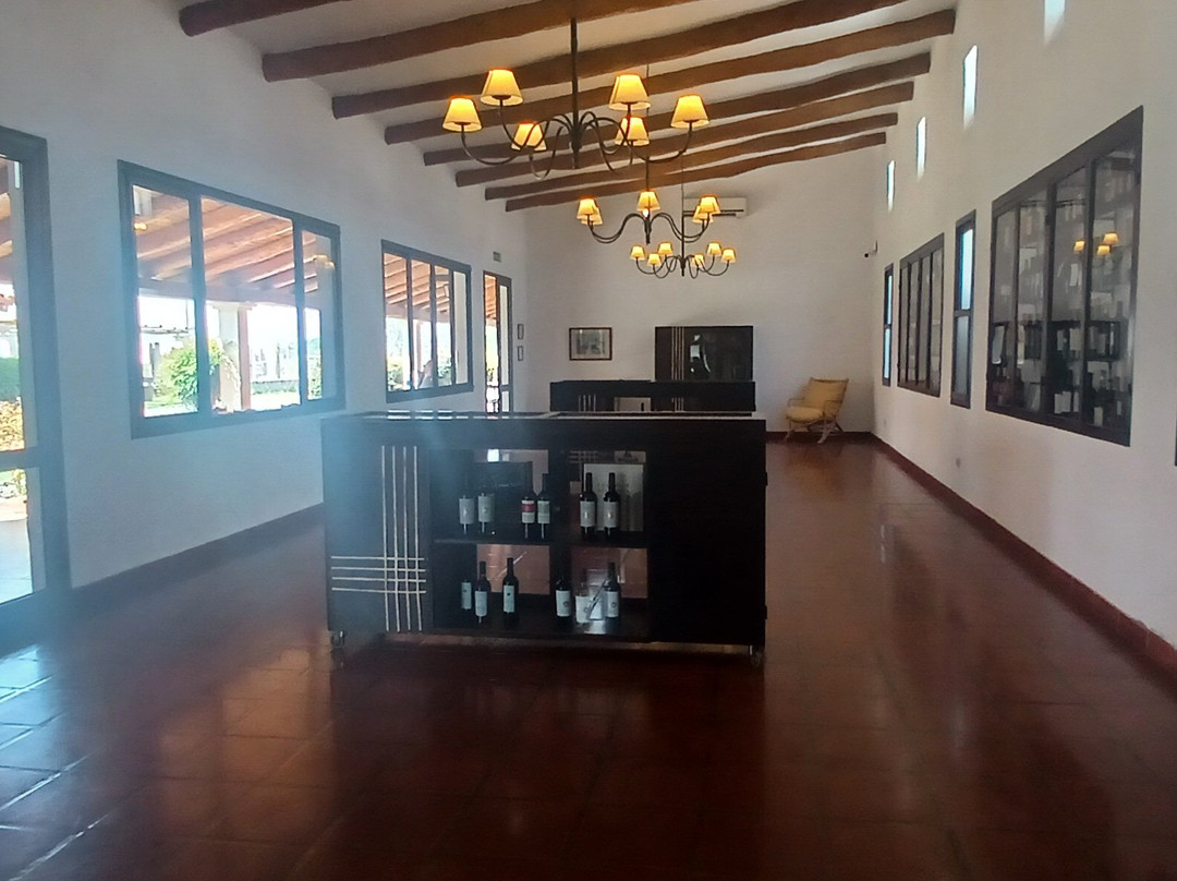 Bodega Domingo Hermanos景点图片