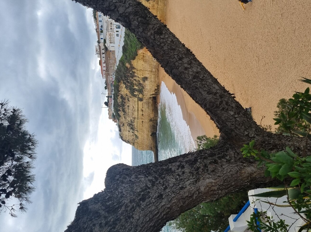 Praia do Carvoeiro-卡沃埃罗必去景点