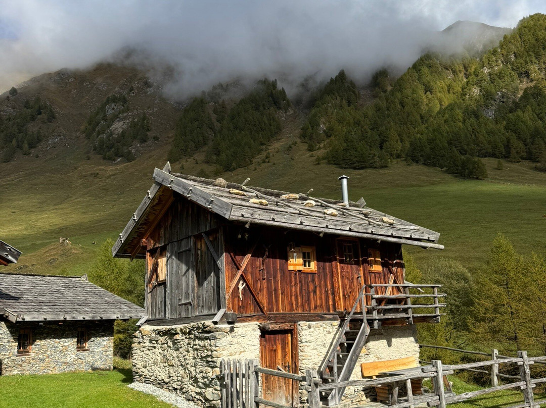 Hotel Alpenrose主图