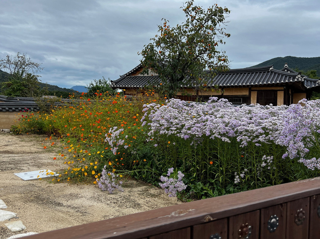 Andong Hahoe Folk Village-安东市必去景点