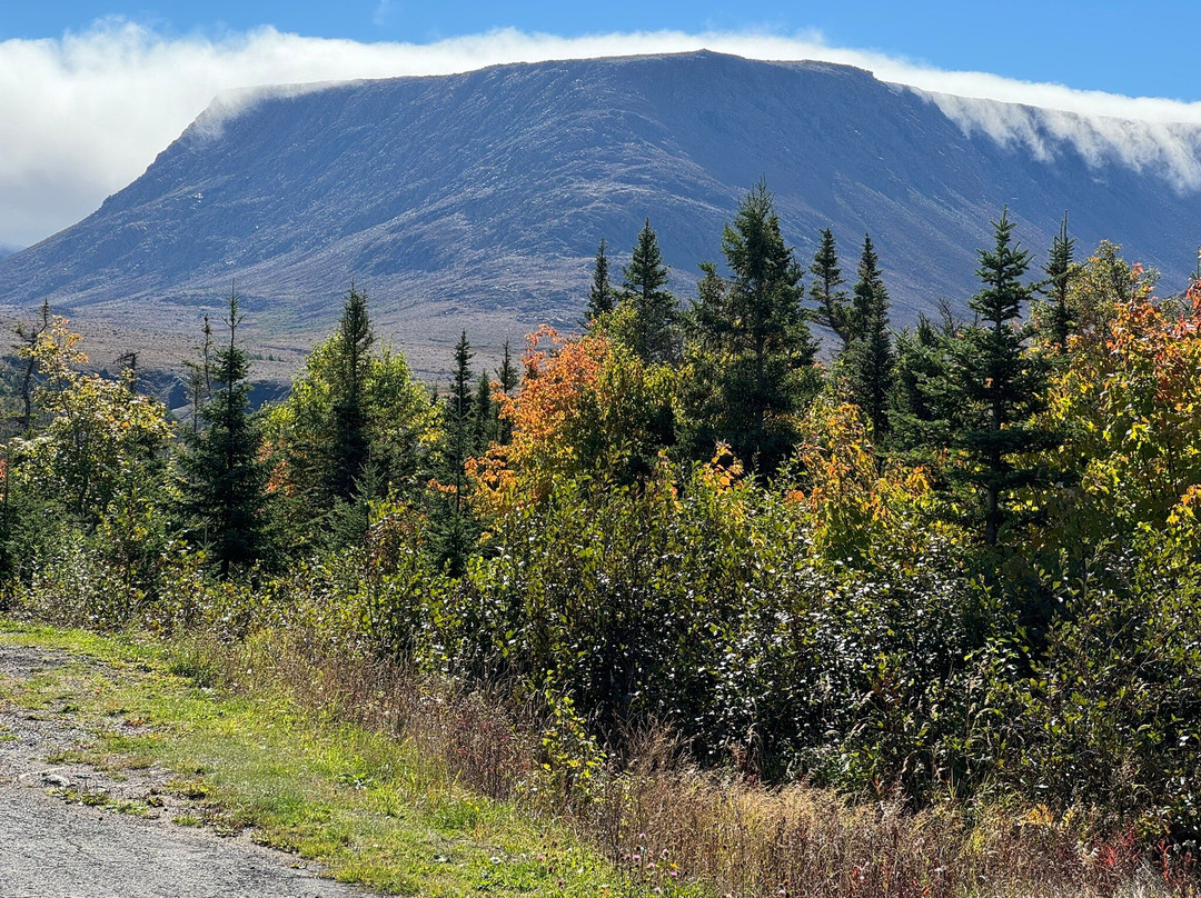 Gros Morne Transportation & Tours景点图片