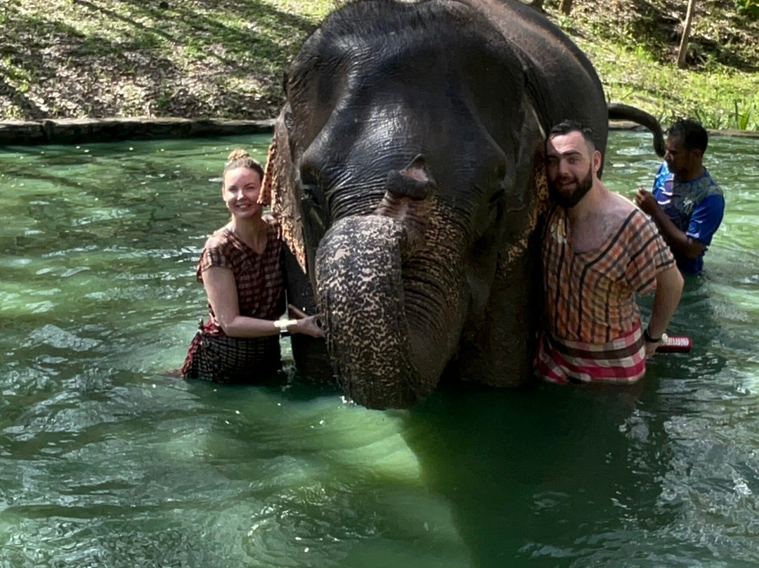 Koh Yao Elephant Care & House-Phru Nai必去景点