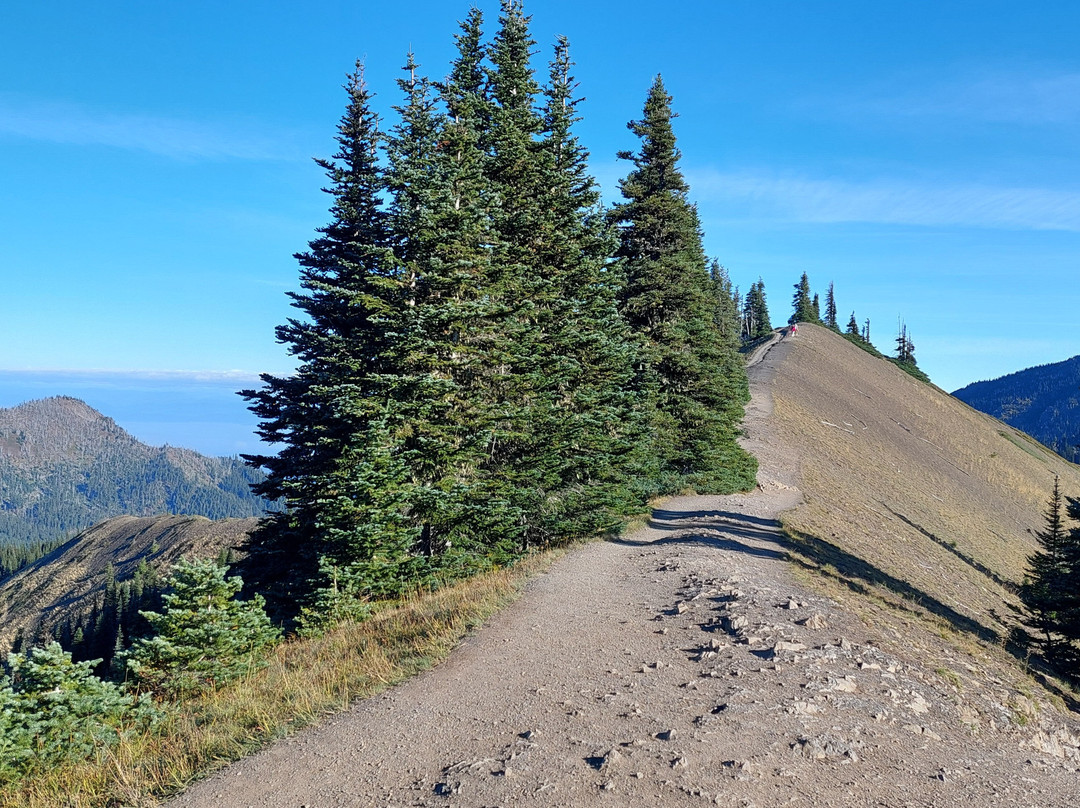 Cirque Rim Trail景点图片