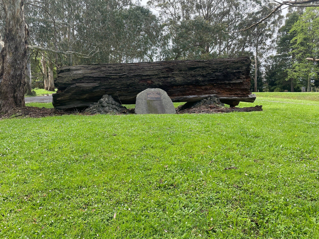 Gembrook Centenary Log景点图片