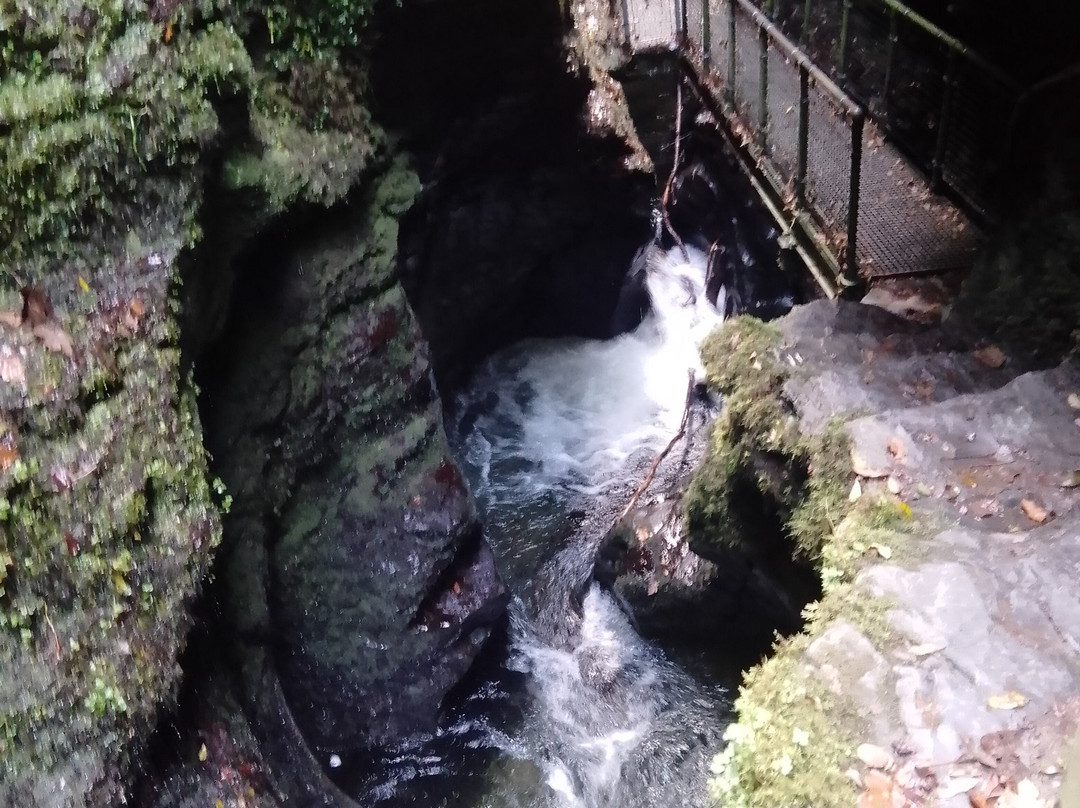Lydford Gorge景点图片