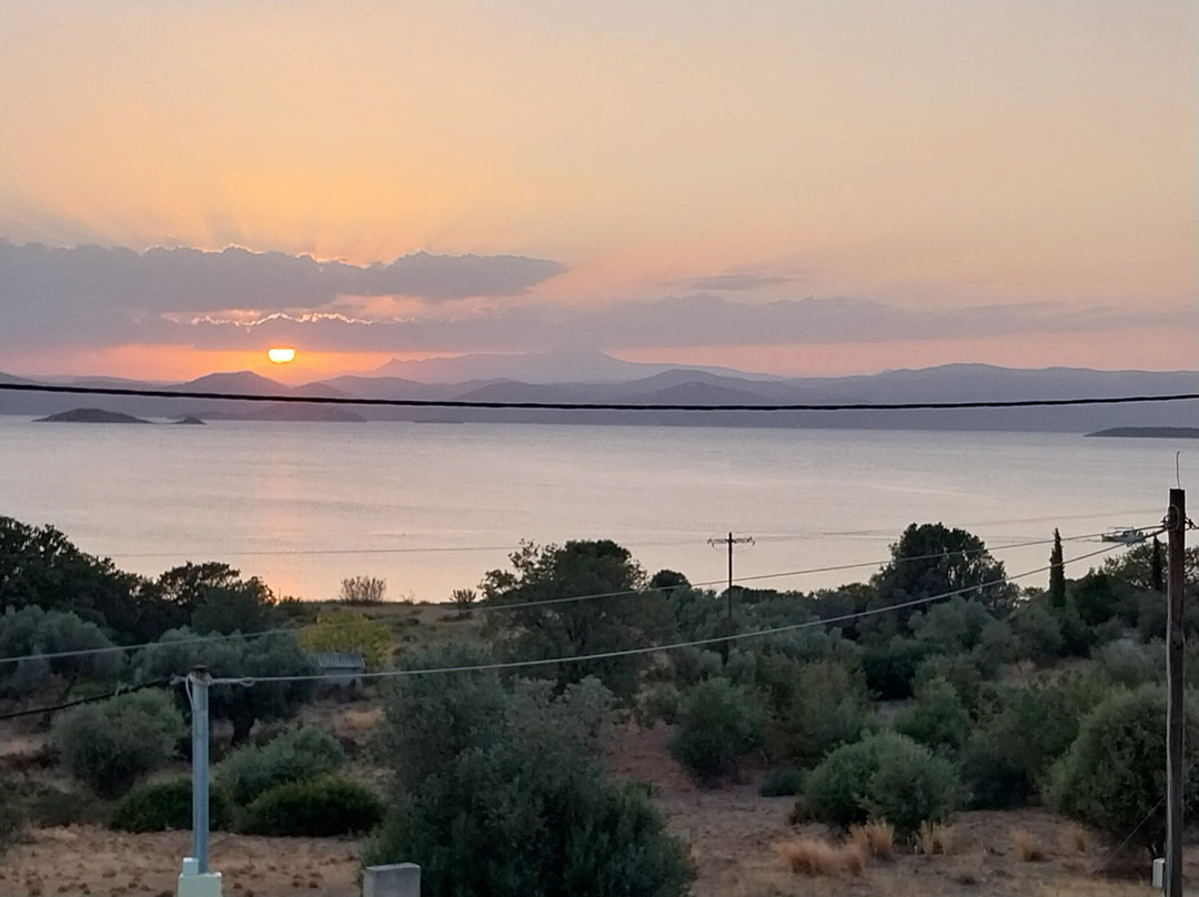 Saint George Hotel & Rooms主图