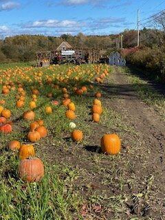 William H. Jordan Farm-开普伊丽莎白必去景点