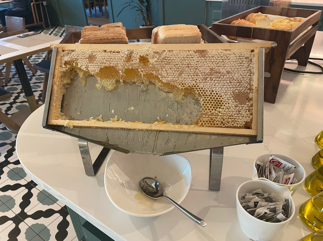 Hotel Tres Reyes San Sebastian主图