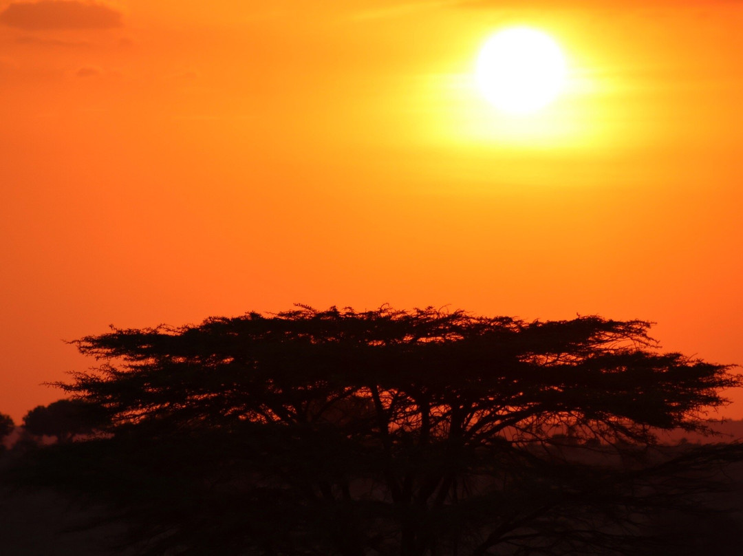 World Lineage Safaris-内罗毕必去景点