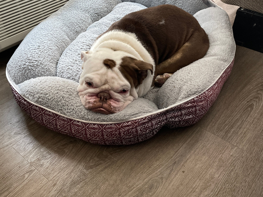 Candlewood Suites Aberdeen-Bel Air by IHG主图