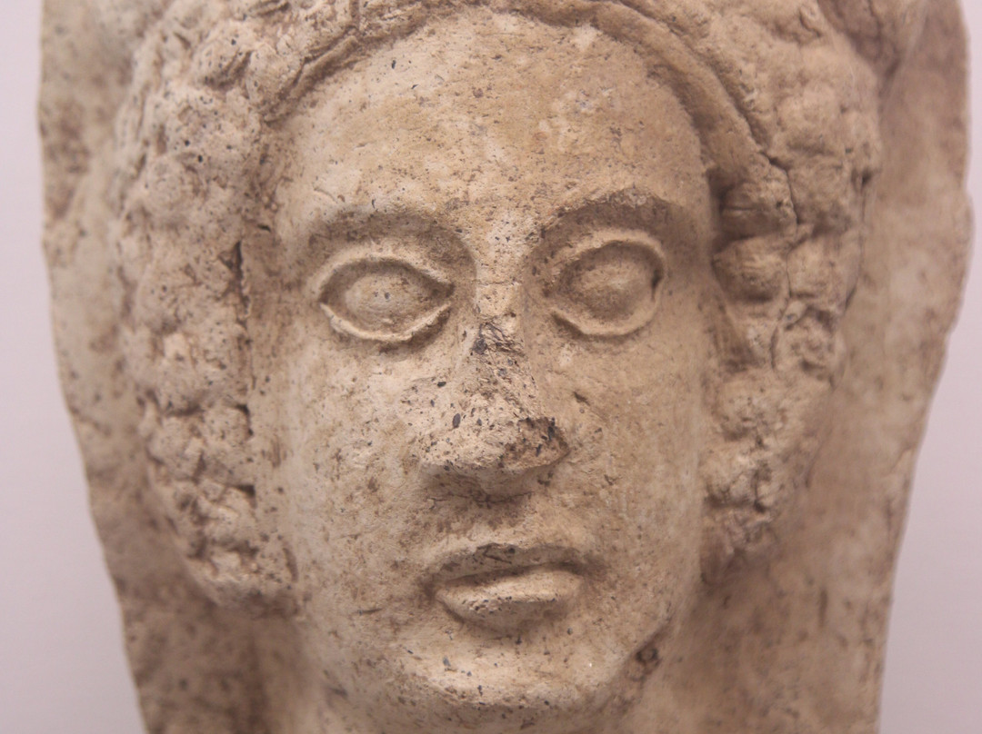 Musee d'Archeologie-安提贝必去景点