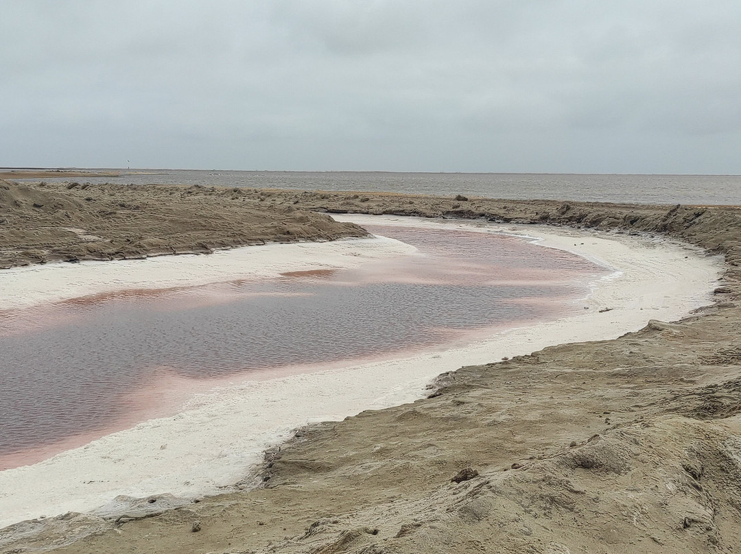 Chena Tours & Safaris Namibia CC-华维斯湾必去景点