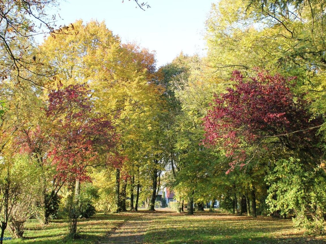 Roedinghausen酒店住宿-Haus Stork