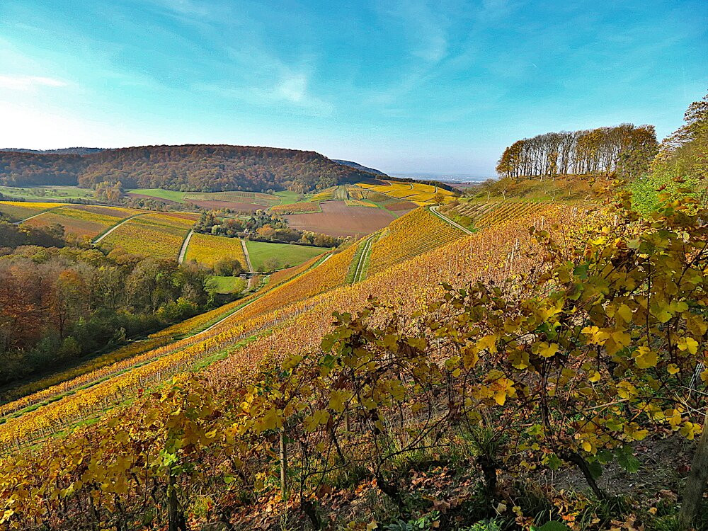 Gasthaus Zum Schwan主图