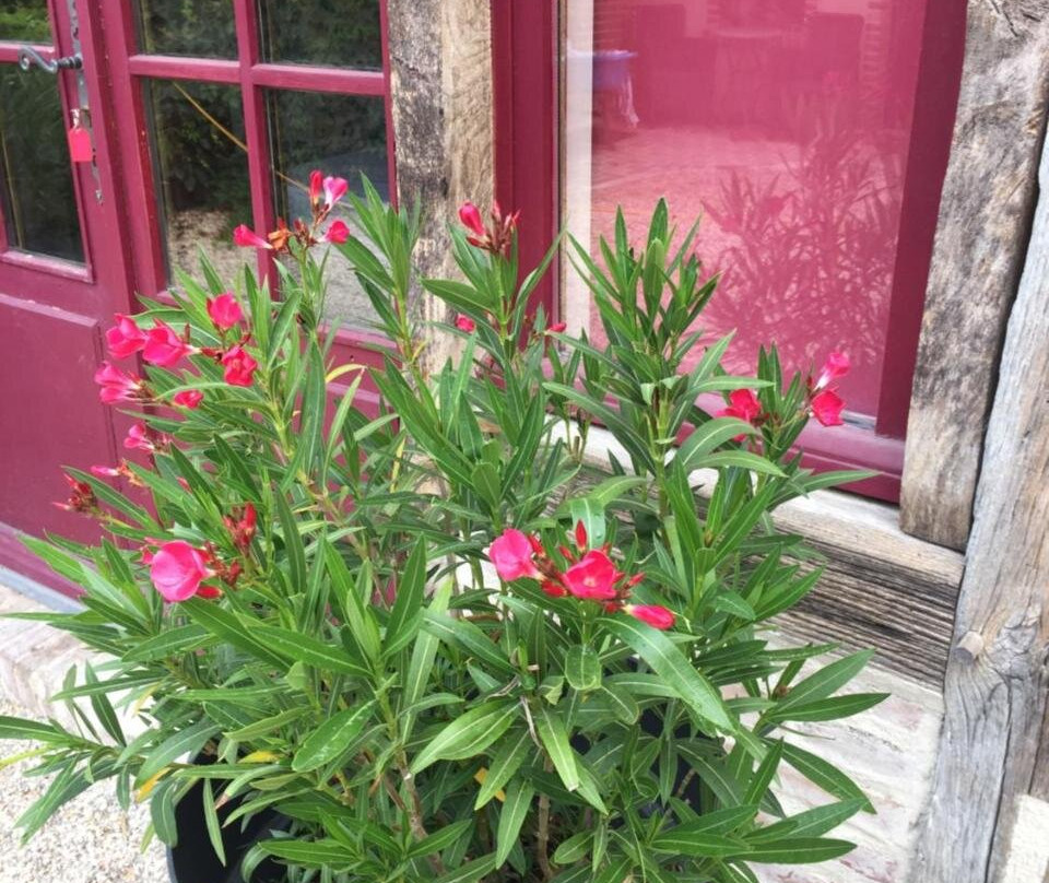 La Maison Aux Volets Rouges