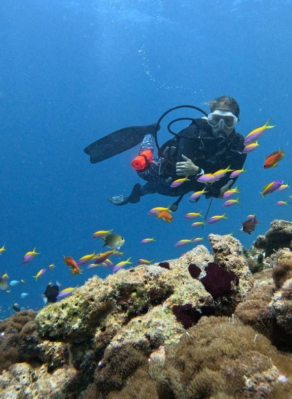 Dive Ukulhas景点图片